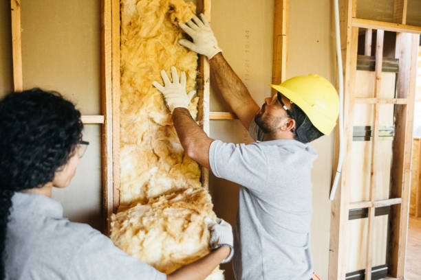 Best Energy-efficient Insulation  in Ruston, LA